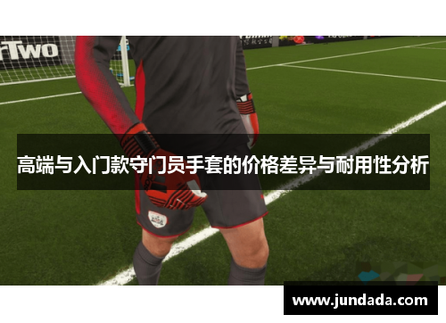 高端与入门款守门员手套的价格差异与耐用性分析